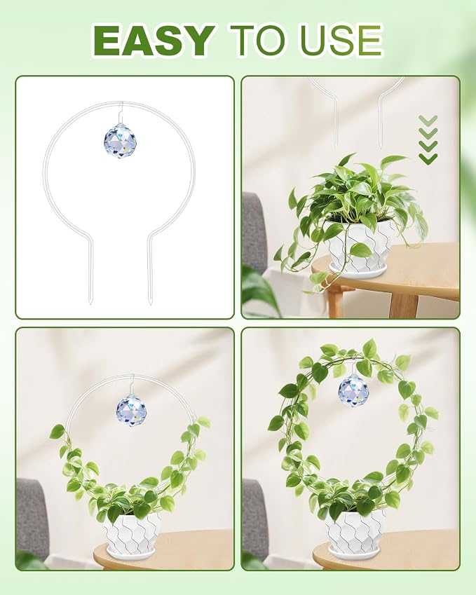 eZAKKA Round Acrylic Plant Trellis, 2 Pcs Hoya Trellis for Supporting Potted Climbing Plants Potted Ivy Indoor Outdoor with 2PCS Crystal Sun Catcher,9 x 11.8in