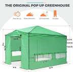 EAGLE PEAK 12x8 Portable Walk in Greenhouse, Pop Up Indoor Outdoor Greenhouse, Green House Kit with Zippered Roll-Up Doors, Windows + Support Pole, PE Cover, Clear/Green