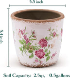 Vintage Ceramic Planter with Drainage Hole, Plastic Tray & Mesh, 5.5 Inch - Indoor/Outdoor Flower Pot, Pink Floral Rustic Farmhouse Design Plant pot for Home, Office & Garden Décor, Ideal Gift