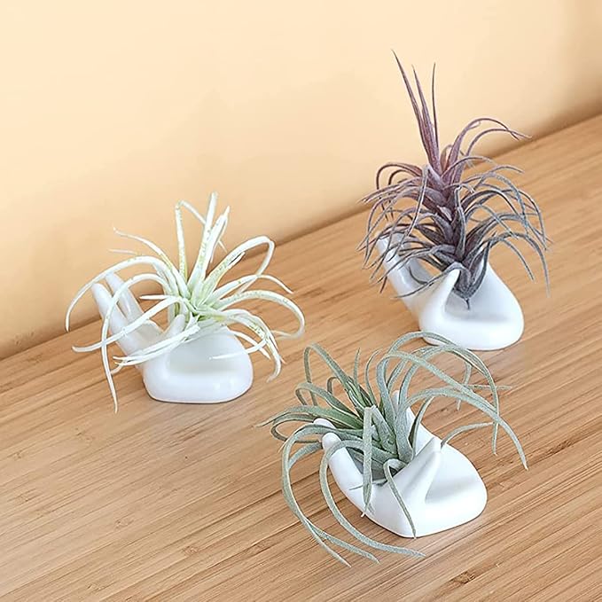 Dahey Air Plant Holder Cute Ceramic Mini Hand Shape Stand Airplants Tillandsia Small Container Pot Plant Decorative Home Decor for Desk Table Shelf,White,3 Packs