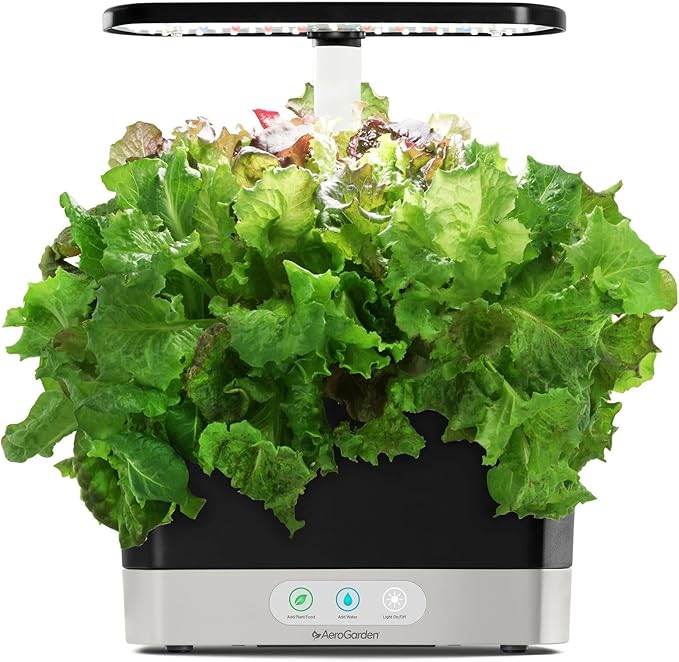 Aerogarden Salad Greens Seed pod Kit with Red and Green Leaf, Romaine and Butter Head Lettuce, Liquid Plant Food and Growing Guide, 6-Pod