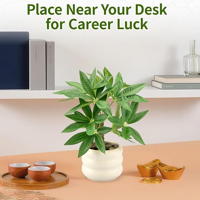 Small Money Tree Bonsai 11.4 inch Artificial Desk Plant in White Ceramic Pot, Realistic Indoor Faux Potted Pachira Money Plant for Home Office Living Room Decor(Maintenance Free)