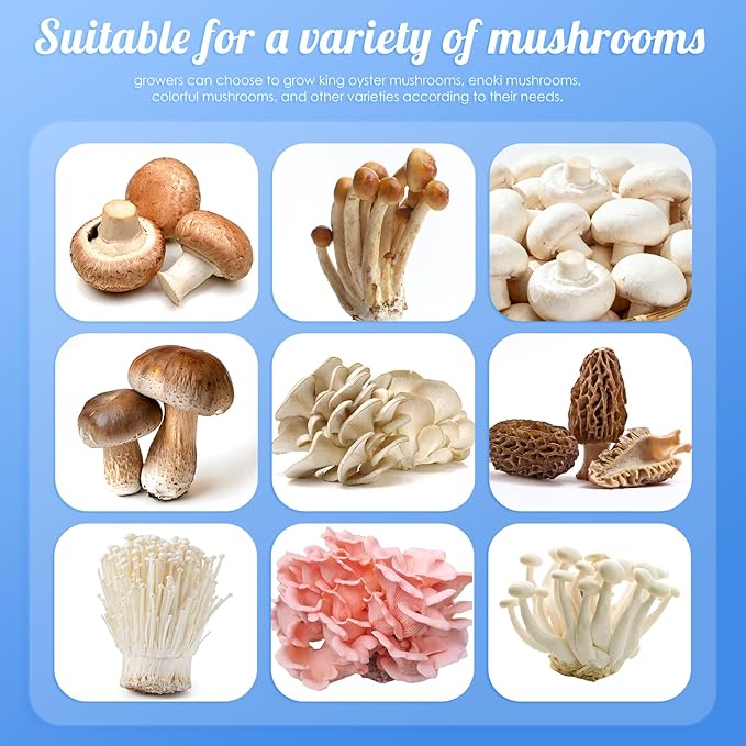 Mushroom Grow Tent with Humidifier, Smart Mushroom Growing Box, Mushroom Growing Kit for Mushroom Growers