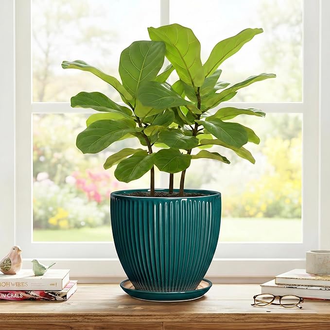 Ceramic Planter, 8 Inch Plant Pots with Drainage Hole and Saucer, Round Flower Pots for Indoor Plants, Modern Decorative Pot for Plants, Bathroom Decor, Gifts for Plant Lovers, Blackish Green