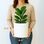 Fox & Fern Plant Pot, Large Plant Pots for Indoor & Outdoor, UV & Frost Resistant Plant Vase with Drainage Plug, Fiberstone, Large Indoor Pots for Plants & Flowers, House Indoor Plant Pot, Single Pot