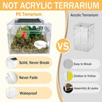 Reptile Terrarium, Jumping Spider Enclosure Starter Kit, Leopard Gecko Habitat Container, 8"x8"x6"Reptile Tank for Tarantula, Hermit Crab, Insect, Fish, Frog, Small Bearded Dragon, Lizard