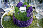 SuperMoss (25124) Reindeer Moss Preserved, Appx. 2oz, Purple