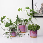 Gepege Ceramic Pots for Plants, Rainbow Pearl Glaze Planter with Drainage Hole, 6.0 inch+5.0 Inch+4.0 Inch. Indoor-Outdoor Large Round Succulent Orchid Flower Pots