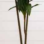 Nearly Natural 48in Artificial Dracaena with Real Touch Leaves and Multi Tonal Trunks, Large Indoor Silk Plant with Pot, Maintenance Free for Indoor Living Room and Home Office Decor