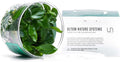 Ultum Nature Systems Anubias Barteri Tissue Culture Live Plant for Aquarium, Aquascape, Freshwater Fish Tanks - 100% Snail Free in Vitro