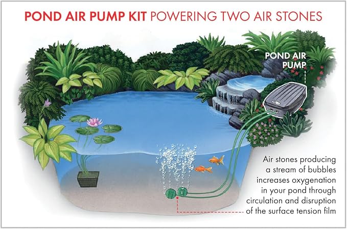 Aquagarden, Pond Air Pump Kit, Outdoor Weather Proof air Pump, Twin Outlet Pond Oxygenator, Inc 2 Air Stones & 2 Air Lines, 85 gal/hr Flow Rate, Economical to Run, for Standard Ponds