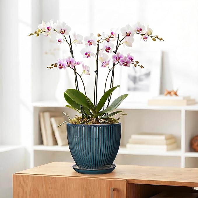 Ceramic Plant Pots, 8 Inch Planters for Indoor Plants, Decorative Flower Pots with Drainage Hole and Saucer, Round Planter, Indoor Flower Pot, Modern Home Decor, Plant Lover Gifts, Retro Blue
