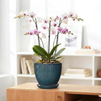 Ceramic Plant Pots, 8 Inch Planters for Indoor Plants, Decorative Flower Pots with Drainage Hole and Saucer, Round Planter, Indoor Flower Pot, Modern Home Decor, Plant Lover Gifts, Retro Blue
