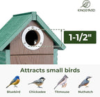 Kingsyard Recycled Plastic Bird House for Outdoors - Weatherproof Nesting Box with Clear View Panel & Predator Guard for Bluebird Wren Swallow Finch, Green