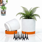 GreenShip Planter Set of 2 (13.8" & 11.8") – Cylinder Planters with Drainage Hole and Planter Saucer, Jun Porcelain Clay & Recycled Resin, Decorate Home,Office & Outdoor,White pots