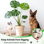ZeeDix 3 Pack Coconut Fiber Mulch Ring, 11.8 Inch Coco Coir Tree Ring Mulch Mat, 100% Natural Tree Protector Mat Plant Cover Ring Coconut Coir Discs Tree Mats Mulch Rings for Indoor Outdoor Plants