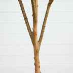 Artificial Potted Olive Tree - 6' - Green
