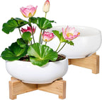 Baderke 2 Pcs Lotus Bowl Planter with Base Ceramic Hydroponic Planter Water Lily Bowl for Planting Aquatic and Indoor Plants Household Ceramic Basin Decor(White)