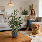 Olive Branches Artificial Plants Décor Indoor 17.72'' Tall Fake Olive Branch with Rustic Black Cement Planter for Vintage Room Bathroom Bedroom Kitchen Office Dese Coffee Table Décor
