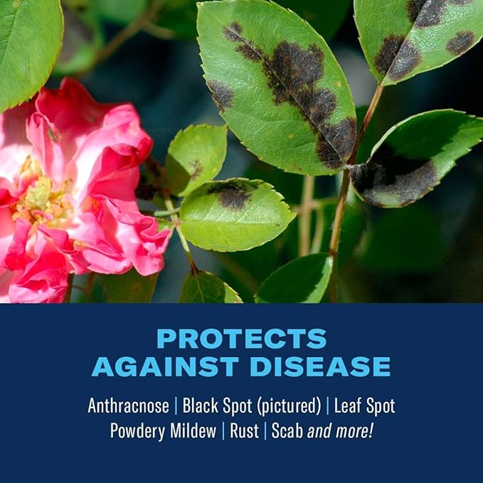 BioAdvanced 3-in-1 Insect, Disease, and Plant Mite Control Spray - Insecticide, Fungicide & Miticide - Ready-to-Use - Prevents Pests and Diseases - Up to 14 Days Protection - 24 fl oz Bottle