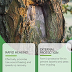 100g pruning sealer,tree wound dressing,Tree Wound Pruning Sealer,grafting wax,TreeSealer After Cutting, TreeBark Repair (2pcs)