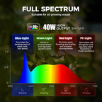 Barrina TR40a Track Plant Lights for Indoor Growing, 40W Ceiling Grow Lights with Adjustable Beam Angle (15°-60°), 5000K Full Spectrum Wall Plant Light with Timer for Greenhouse, Black Cover