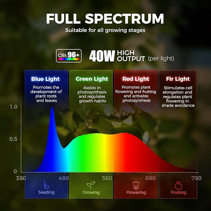 Barrina TR40a Track Plant Lights for Indoor Growing, 40W Ceiling Grow Lights with Adjustable Beam Angle (15°-60°), 5000K Full Spectrum Wall Plant Light with Timer for Greenhouse, Black Cover