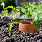 4 pcs Terracotta Watering Spikes - Automatic Self-Watering Stakes, Vacation Plant Waterer for Wine Bottle, Perfect for Indoor & Outdoor Plants