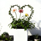 2Pcs Heart Plant Trellis, Acrylic Small Trellis Climbing Plants Indoor Outdoor, Plant Support for Hoya Pothos Vine Ivy Monstera Flower Philodendrons Dischidia