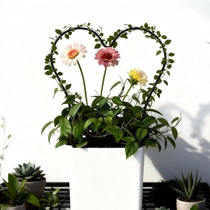 2Pcs Heart&Round Plant Trellis, Acrylic Small Trellis Climbing Plants Indoor Outdoor, Plant Support for Hoya Pothos Vine Ivy Monstera Flower Philodendrons Dischidia