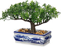 Artificial Bonsai Tree with Blue and White Porcelain Pot, Fake Bonsai for Home Office Desk Decor, Oriental Zen Tabletop Decoration, Faux Bonsai Plant for Living Room, Shelf & Gift