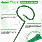 Unves 12 Pack Plant Stakes, 15.75 Inch Green Single Stem Flower Garden Plant Support with 100 Pcs Twist Ties, Plants Cage Support Rings for Amaryllis Orchid Peony Rose