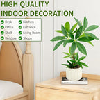 Small Money Tree Bonsai 15.2inch Artificial Desk Plant in White Ceramic Pot, Realistic Indoor Faux Potted Pachira Money Plant for Home Office Living Room Decor(Maintenance Free)