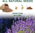 Lavender Seed Pod Kit, 8 Pod Kit (Include Seed Lavender/Chamomile/Holy Basil/Borage/Calendula/Mint) Fresh Tea Seed Pod Kit Compatible with Hydroponics