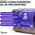 Mycelium 4LB Mushroom Grow Kit | All-in-One CVG Substrate & Rye Berries Grain Bag | Pre-Sterilized with Injection Port & Filter Patch | Grow Dung-Loving Mushrooms with Ease – Just Add Liquid Culture