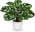 Hollyone Artificial Monstera Plant Faux Monstera Plant Potted Fake Tropical Plants Potted for Indoor Outdoor Home Desk Office Garden Farmhouse Decoration