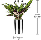 Green Circle Growers 5" Calathea in Black and White Pot with Mom Pick, Live Indoor Plants, House Plant