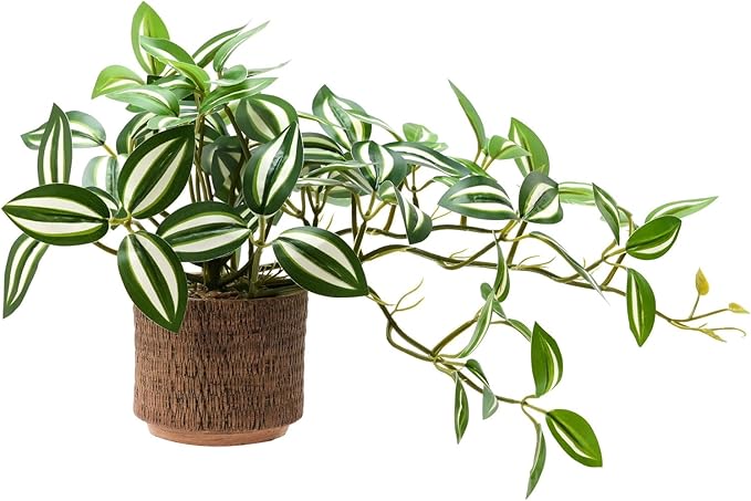 8.5" Artificial Trailing Peperomia Vine in Textured Light Coffee Ceramic Pot 12" Wide Lifelike Faux Round-Leaf Plant for Indoor Home Office Desk Shelf Bathroom Decor