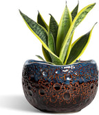 Ceramic Planter - 8 Inch Plant Pots with Drainage Hole and Plug, Unique Flower Pots for Indoor Outdoor Plants, Round Decorative Pots for Plants, Home Decor, Graduation Gifts, Brown-Blue