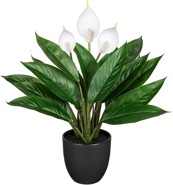 GnFlus Fake Plants 20'' Faux Plants Artificial Potted Plants Indoor Realistic White Anthurium Artificial Flowers, Fake Potted Plants for Home Office Farmhouse Kitchen Bathroom Table Shelf Decor