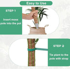 3 Pack Moss Pole, 50 Inch Monstera Plant Support, Tall Moss Poles for Climbing Plants Indoor DIY, Coco Coir Plant Pole Moss Plant Stick Support Stake Kit for Potted Plants, Pothos, Philodendron
