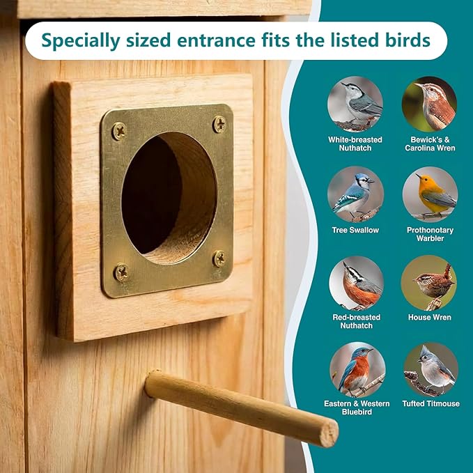 Bird Houses for Outside Clearance with Copper Guard, Pine Bird House Outdoor, Bluebird Finch Swallow Wren Chickadee No Assembly Required, 1 Pack