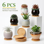 3.5 Inch Succulent Pot with Drainage,Planting/Flower Pots,Small Planter for Mini Plant Ceramic Flowing Glaze Base Serial Set with Holes