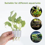 3 Holes Upgraded Aquatic Plant Cup Aquarium Plant Holder for Tank,Aquascape Accessories Decorations- White 4 Pcs