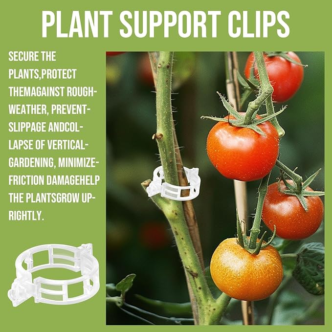 Plant Support Clips Plastic Tomato Clips Plant Clips for Climbing Plants Clear Grape Tomato Vine Trellis Clips for Garden Vegetables Plants Flower Grow Fixing (300, White)