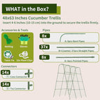 Miory Cucumber Trellis, 63" Tall U Shape Trellis for Raised Bed, Garden Arch Trellis for Climbing Plants Outdoor, Plant Support for Vegetables Vines, Steel with PE Coated (48“Lx32”Wx63“H)