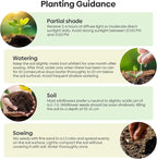 Groundio 13 Varieties Partial Shade Wildflower Seeds, Mixed Annual and Perennial Flower Seeds for Garden, Yard, Container Planting, 1 Ounce