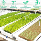 Halatool 1.5 Inch Rockwool Cubes Garden Rock Wool Grow Cubes Starter Plugs for Hydroponics Soilless Cultivation Seedlings Cuttings Clone Plants Germination Start (2 Sheets, 98 Plugs in Total)