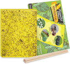 Kensizer 10-Pack Fruit Fly Trap, Yellow Sticky Gnat Trap Killer for Indoor/Outdoor Flying Plant Insect Like Fungus Gnat, Whiteflies, Aphids, Leaf Miners - 6x8 in, Twist Ties Included