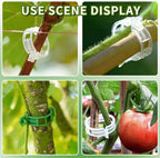 200Pcs Secured Plastic Plant Clips, New Combinable Plant Support Clips, Plant Clips for Climbing Plants, Tomato Grape Vine Vegetables Fixing Clips, Plant Clips for Trellis & Peony Cages